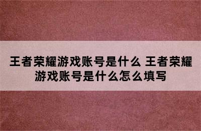 王者荣耀游戏账号是什么 王者荣耀游戏账号是什么怎么填写